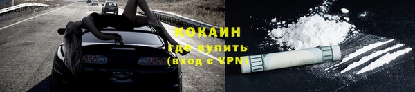 дживик Балахна