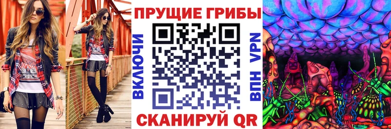 Псилоцибиновые грибы GOLDEN TEACHER  Сибай 